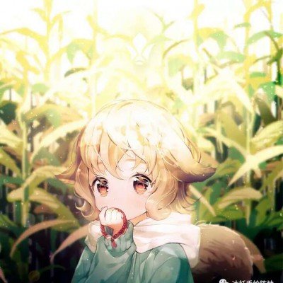 浪姐辟谣三公录播